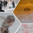 СНЕЖНЫЙ ДОЗОР. «Папарацци, блин!» Суровый снегопад, спящий тракторист и скачущий «Пумба» — все то, что попало в объектив югорчан - 2Goroda.Ru