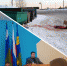В Советском депутаты решали, как быть с бродячими коровами. Вспомнили и об истории с окровавленной шкурой - 2Goroda.Ru
