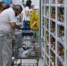 Цены на продукты в ХМАО начали снижаться - 2Goroda.Ru