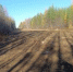 Готовь сани летом - 2Goroda.Ru