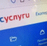 Госдума готовит революцию в поиске людей через Госуслуги - 2Goroda.Ru