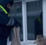Инспекторы ДПС спали рысь, которая забрела в Югорск - 2Goroda.Ru